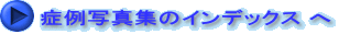 Ǘʐ^W̃CfbNX  
