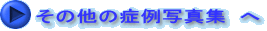̑̏Ǘʐ^W   