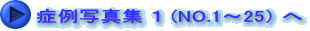 Ǘʐ^W P (NO.1`25j  